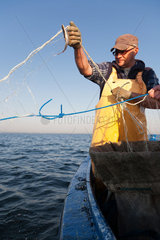 Kussfeld  Polen  kaschubischer Fischer im Putziger Wiek holt das Netz ein