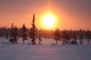 Aekaeskero  Finnland  Schneelandschaft bei Sonnenaufgang