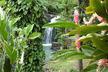 St. Georges  Grenada  die Annandale Falls