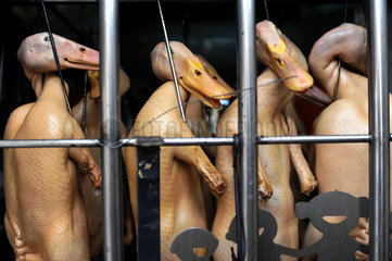 Singapur  Republik Singapur  geschlachtete Enten in der Kueche eines Chinarestaurants