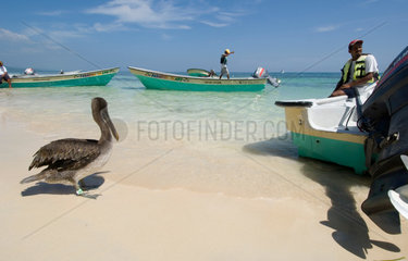 Punta Rucia  Dominikanische Republik  Ausflugsboote am Strand