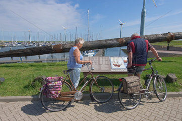 Oudeschild  Niederlande  Besucher im Hafen von Oudeschild