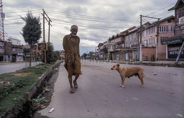 Srinagar  Indien  ein Mann begegnet einem streunenden Hund auf der Strasse