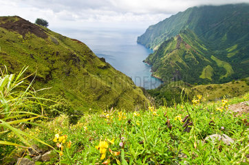 Hanavave  Franzoesisch-Polynesien  Landschaft an der Bucht von Hanavave