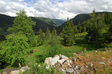 Hovden  Norwegen  Blick in die Berge bei Hovden