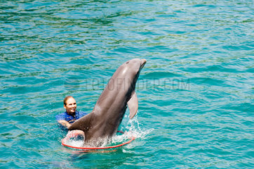 Puerto Plata  Dominikanische Republik  Delphinshow im Ocean World