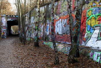 Berlin  Deutschland  farbig bemalte Birken im Natur-Park Suedgelaende