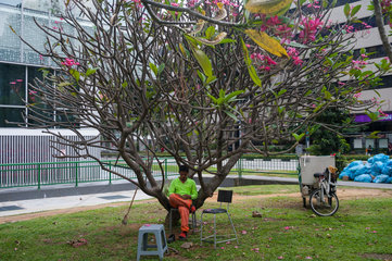 Singapur  Republik Singapur  Gastarbeiter macht eine Pause an einem Baum