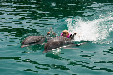 Puerto Plata  Dominikanische Republik  schwimmen mit Delphinen im Ocean World