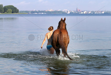 Schwerin  Deutschland  junge Frau fuehrt ihr Pferd in den Schweriner See hinein