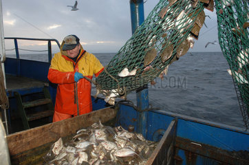 Sassnitz  Deutschland  Ostseefischer vor Ruegen