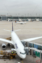 Muenchen  Deutschland  Airbus der Lufthansa am Flughafen Muenchen