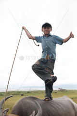 Hue  Vietnam  Junge auf einem Ochsen