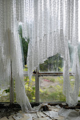 Frauenwald  Deutschland  zerrisene Gardinen am Fenster des ehemaligen NVA-Erholungsheims