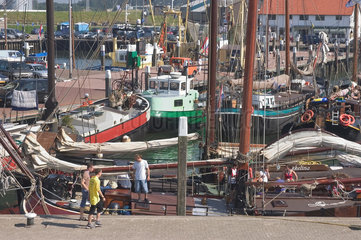 Oudeschild  Niederlande  Fischerboote im Hafen