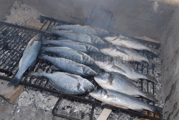 Ugljan  Kroatien  Fisch auf dem Grill