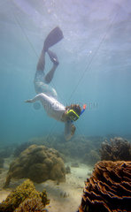 Coral Bay  Australien  schnorcheln am Ningaloo Reef