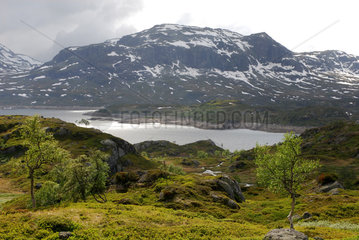 Hovden  Norwegen  Landschaft bei Haukelifjell