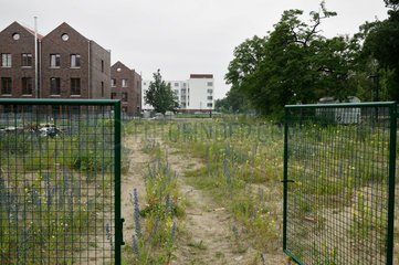 Berlin  Deutschland  unbebautes Grundstueck in einer Wohnsiedlung