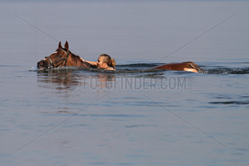 Schwerin  Deutschland  junge Frau schwimmt mit ihrem Pferd im Schweriner See