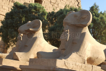 Karnak  Aegypten  Figuren auf der Tempelanlage des Karnak-Tempel