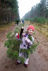 Gorin  Deutschland  Maedchen mit einem geschlagenen Weihnachtsbaum