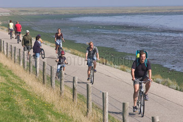 Oost  Niederlande  Radfahrer auf der Wattseite der Insel Texel