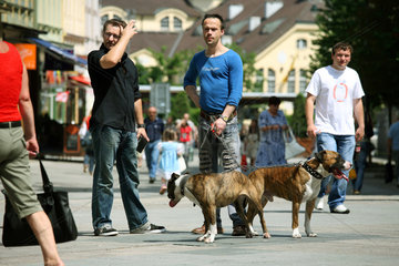 Karlsbad  Tschechische Republik  ein Mann mit Hunden unterhaelt sich mit einem Bekannten