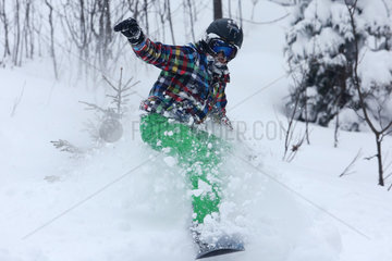 Krippenbrunn  Oesterreich  ein Junge faehrt Snowboard im Tiefschnee abseits der Piste