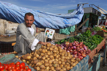 Hurghada  Aegypten  Stand auf einem Obst- und Gemuesemarkt