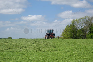Prangendorf  Deutschland  Landwirt auf einem Traktor beim Wenden von gemaehtem Gras
