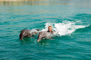 Puerto Plata  Dominikanische Republik  schwimmen mit Delphinen im Ocean World