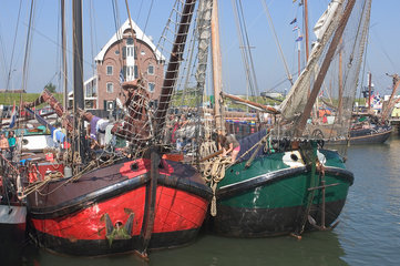 Oudeschild  Niederlande  Fischerboote im Hafen von Oudeschild