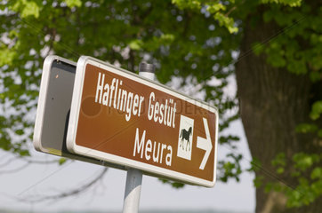 Meura  Deutschland  Wegweiser zum Haflinger Gestuet Meura