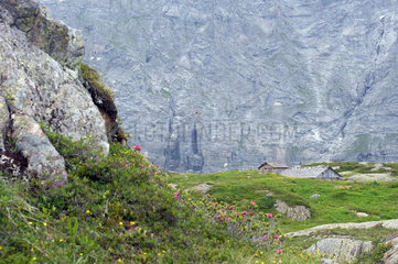 Lauterbrunnen  Schweiz  Berghuetten vor einer steilen Felswand