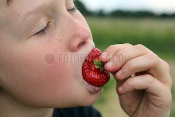 Werl  Deutschland  Junge isst eine Erdbeere