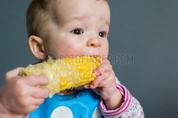Berlin  Deutschland  16 Monate altes Baby isst einen Maiskolben