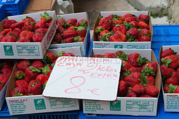 Sineu  Mallorca  Spanien  frische Erdbeeren auf dem Wochenmarkt