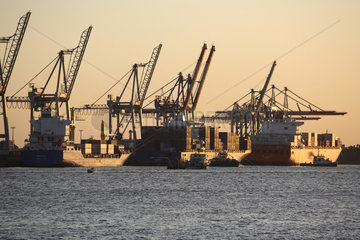 Hamburg  Deutschland  Containerschiffe und Kraene im Freihafen