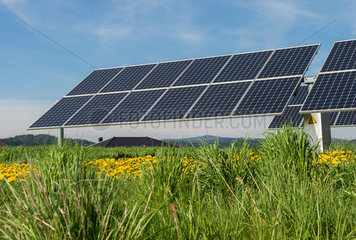 Ulrichsberg  Oesterreich  Solaranlagen auf einem Feld im oberen Muehlviertel