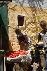Tetouan  Marokko  Kinder verkaufen Tomaten auf der Strasse