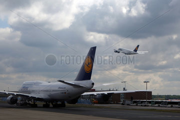 Frankfurt am Main  Deutschland  Boeing 747-8 der Lufthansa auf dem Vorfeld des Flughafen Frankfurt