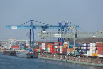Mannheim  Deutschland  Containerterminal am Mannheimer Hafen