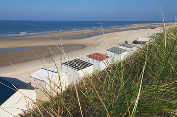 Den Hoorn  Niederlande  Strand