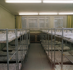 Berlin  DDR  Schlafsaal in einer Kindertagesstaette