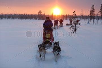 Aekaeskero  Finnland  Menschen machen eine Fahrt mit Hundeschlitten