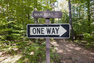 One way sign in woods