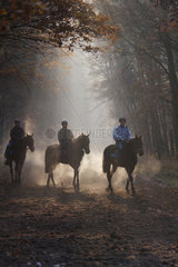 Pferde und Reiter bei der Morgenarbeit auf der Hoppegartener Trainierbahn