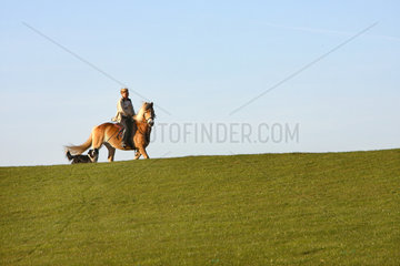 Eine Frau reitet auf ihrem Pferd auf einem Deich  Nordstrand