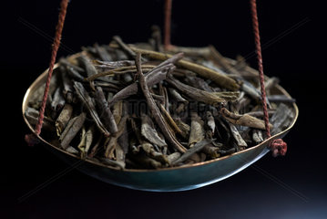 Berlin  Deutschland  Teeblaetter des gruenen Tees Liu An Gua Pian auf einer Waage